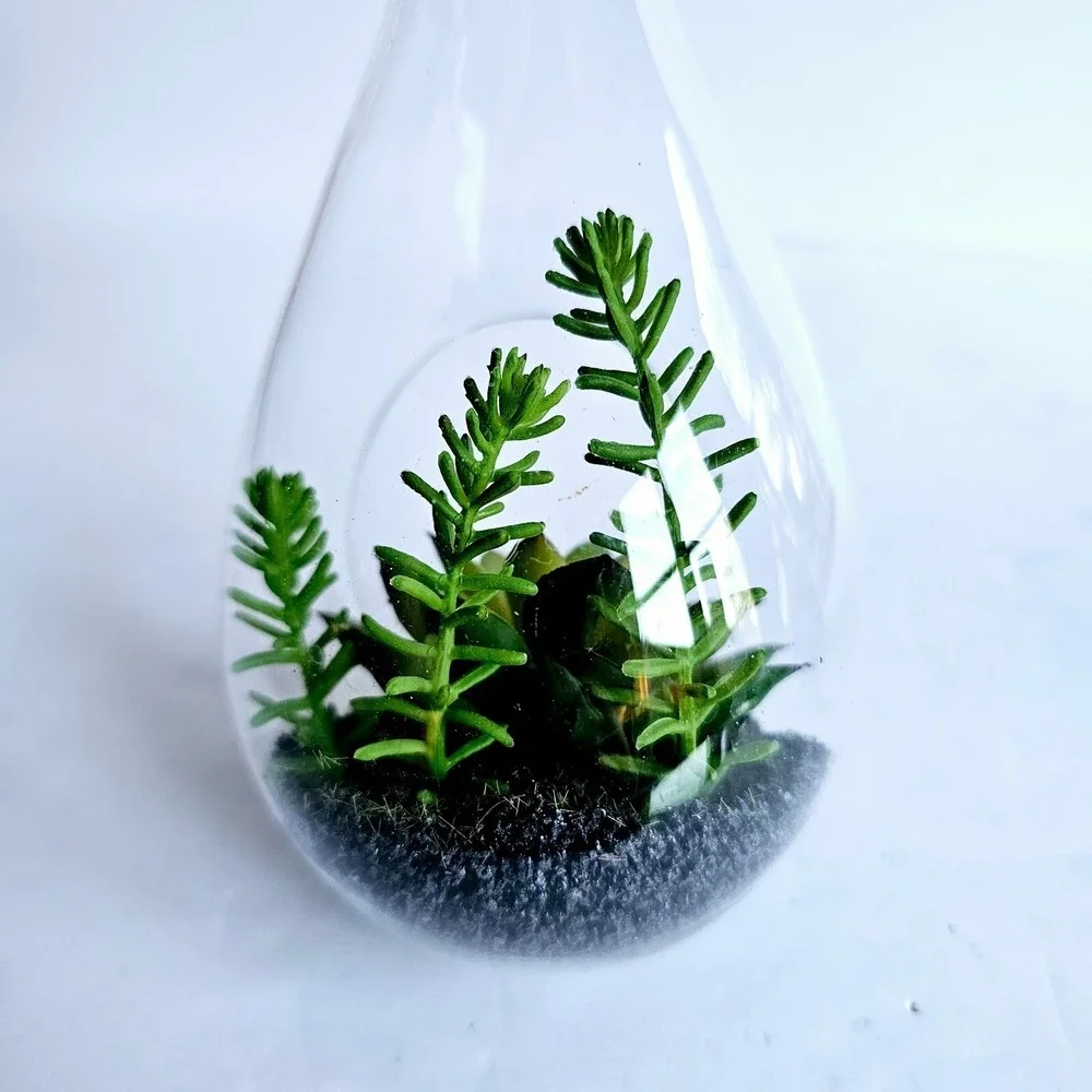 Set of 2 Glass Teardrop‎ Hanging Terrariums with Faux Succulents Home Decor